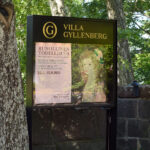 Jalallinen runko vitriinillä, Versaali