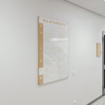 Versaflex opaste, Versaali