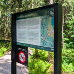 Jalallinen opaste, Versaali
